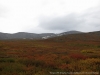 Файл=ugidva229.jpg
Объём=101KB
Размеры=1024x768
Дата=Сент 21, 2012 ugidva229.jpg