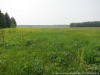 Файл=velokakva22.jpg
Объём=160KB
Размеры=1024x768
Дата=Июнь 18, 2012 velokakva22.jpg