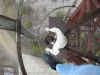veloopen2011_08.jpg