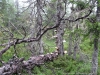Файл=vels012.jpg
Объём=327KB
Размеры=1024x768
Дата=Авг 05, 2011 vels012.jpg