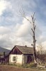 img1408.jpg