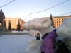 Файл=img1806.jpg
Объём=93KB
Размеры=1024x768
Дата=Янв 20, 2008 img1806.jpg