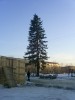 img430.jpg