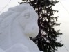 Файл=img463.jpg
Объём=126KB
Размеры=1024x768
Дата=Дек 27, 2006 img463.jpg