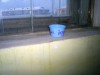 img550.jpg