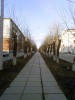 Файл=img932.jpg
Объём=351KB
Размеры=1200x1600
Дата=Май 02, 2006 img932.jpg