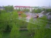 img969.jpg