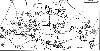Файл=map3.gif
Объём=817KB
Размеры=1971x1015
Дата=Фев 08, 2008 map3.gif