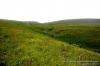 Файл=Kavkaz_2011.JPG
Объём=161KB
Размеры=1083x720
Дата=Сент 24, 2014 Kavkaz_2011.JPG