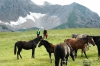 Файл=Kavkaz_2049.JPG
Объём=163KB
Размеры=1083x720
Дата=Сент 24, 2014 Kavkaz_2049.JPG