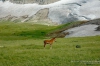 Файл=Kavkaz_2051.JPG
Объём=236KB
Размеры=1083x720
Дата=Сент 24, 2014 Kavkaz_2051.JPG