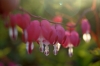 Файл=DSC00957.JPG
Объём=39KB
Размеры=968x648
Дата=Июнь 29, 2010 DSC00957.JPG