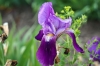 Файл=DSC00251.jpg
Объём=125KB
Размеры=900x602
Дата=Июнь 15, 2010 DSC00251.jpg