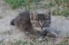 Файл=DSC00611~0.jpg
Объём=265KB
Размеры=968x648
Дата=Июль 01, 2010 DSC00611~0.jpg