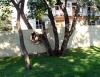 Файл=DSC02452.jpg
Объём=210KB
Размеры=1024x794
Дата=Окт 26, 2008 DSC02452.jpg