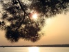 Файл=DSC02557.jpg
Объём=221KB
Размеры=1024x774
Дата=Окт 26, 2008 DSC02557.jpg