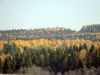 Файл=DSC02848.jpg
Объём=146KB
Размеры=1024x768
Дата=Окт 26, 2008 DSC02848.jpg