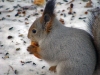 Файл=DSC03572.jpg
Объём=192KB
Размеры=1024x768
Дата=Март 09, 2009 DSC03572.jpg