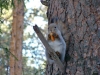 DSC03576.jpg