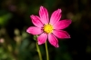 Файл=DSC08346.jpg
Объём=142KB
Размеры=968x648
Дата=Сент 16, 2009 DSC08346.jpg
