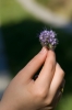 Файл=DSC08454.jpg
Объём=118KB
Размеры=648x968
Дата=Сент 16, 2009 DSC08454.jpg