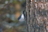 Image00001.jpg