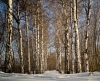 Файл=PICT0159.jpg
Объём=681KB
Размеры=1024x838
Дата=Апр 12, 2009 PICT0159.jpg