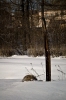 Файл=PICT0172.jpg
Объём=334KB
Размеры=681x1024
Дата=Апр 12, 2009 PICT0172.jpg