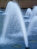 Файл=PICT3156_.jpg
Объём=448KB
Размеры=1496x1976
Дата=Июнь 10, 2008 PICT3156_.jpg