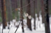 Файл=PICT9628.jpg
Объём=86KB
Размеры=1024x681
Дата=Март 21, 2009 PICT9628.jpg