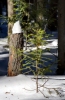 Файл=PICT9828.jpg
Объём=158KB
Размеры=671x1024
Дата=Март 30, 2009 PICT9828.jpg