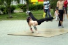 Файл=_ICT4637.JPG
Объём=712KB
Размеры=1805x1200
Дата=Июнь 28, 2008 _ICT4637.JPG
