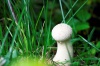 Файл=_ICT6546.jpg
Объём=149KB
Размеры=1203x800
Дата=Сент 07, 2008 _ICT6546.jpg