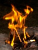 Файл=_ICT6947.jpg
Объём=130KB
Размеры=576x768
Дата=Окт 01, 2008 _ICT6947.jpg