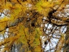Файл=_ICT7100.jpg
Объём=241KB
Размеры=1024x768
Дата=Окт 10, 2008 _ICT7100.jpg