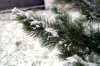 Файл=_ICT7215.jpg
Объём=158KB
Размеры=1024x681
Дата=Окт 13, 2008 _ICT7215.jpg