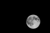 Файл=_ICT7445.jpg
Объём=78KB
Размеры=1024x682
Дата=Нояб 13, 2008 _ICT7445.jpg