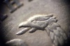 Файл=macro3.jpg
Объём=165KB
Размеры=800x532
Дата=Янв 16, 2009 macro3.jpg