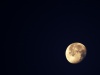 moon.jpg