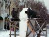 Файл=06~0.JPG
Объём=92KB
Размеры=800x600
Дата=Дек 21, 2005 06~0.JPG