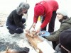 Файл=PICT0051.JPG
Объём=1339KB
Размеры=2048x1536
Дата=Фев 28, 2006 PICT0051.JPG