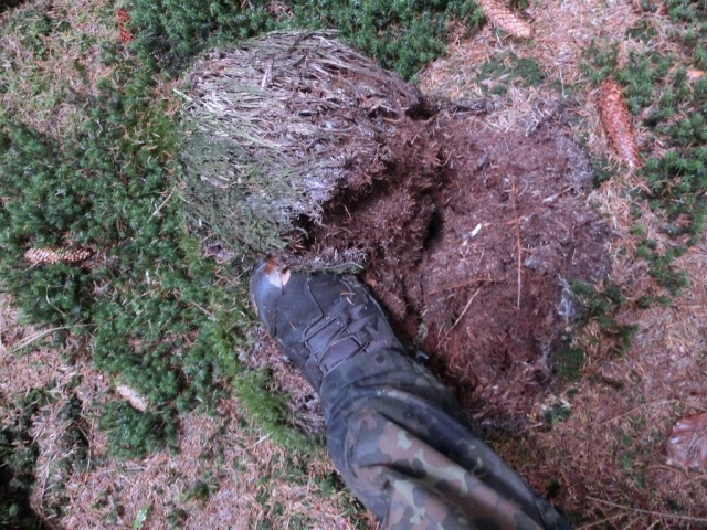 ,     