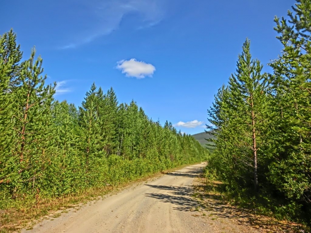 ,     