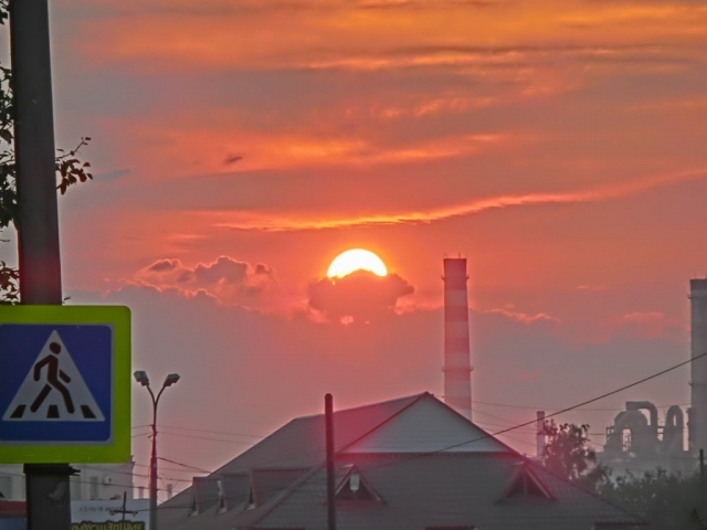 ,     