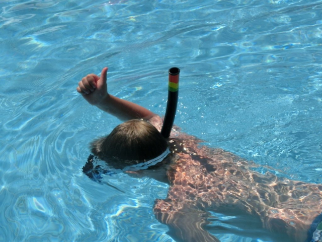 ,     