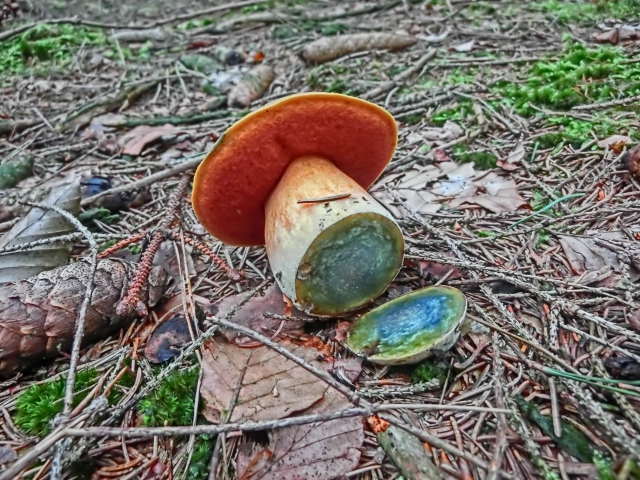 ,     