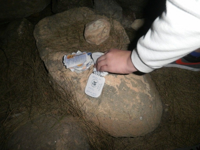 ,     