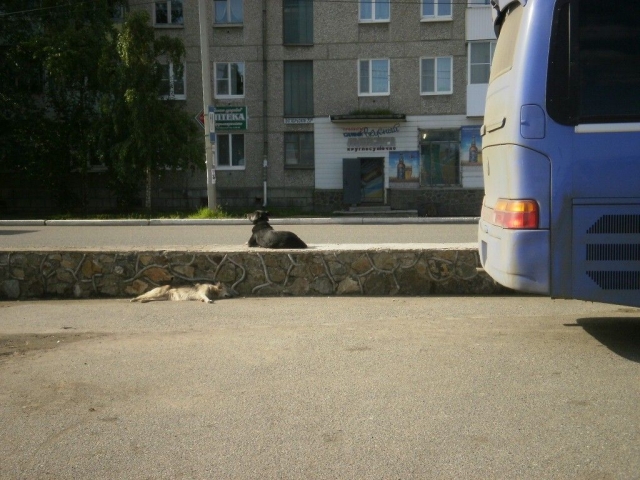 ,     