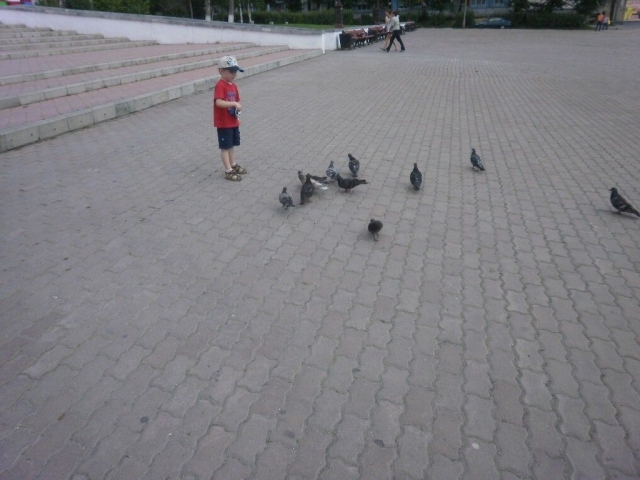 ,     