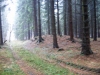 Файл=2~26.jpg
Объём=182KB
Размеры=800x600
Дата=Фев 23, 2009 2~26.jpg